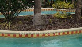 Resort Img Resort Img