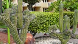 Resort Img Resort Img