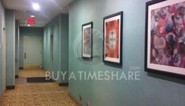 Resort Img Resort Img
