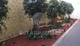 Resort Img Resort Img