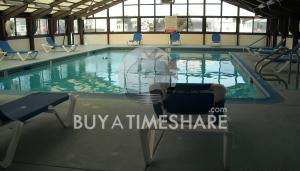 Company Image